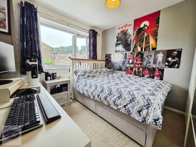 Picture 11